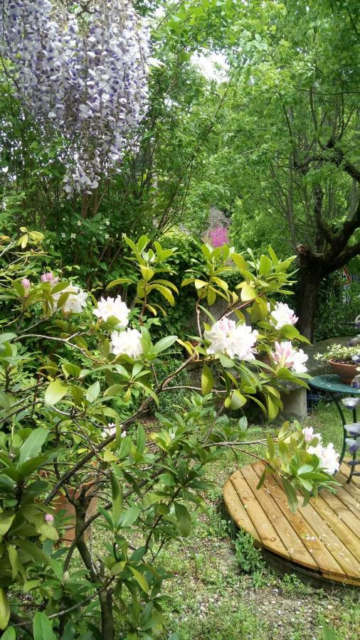 Casa Bartolacci Cozy Apartment Bivigliano Zewnętrze zdjęcie