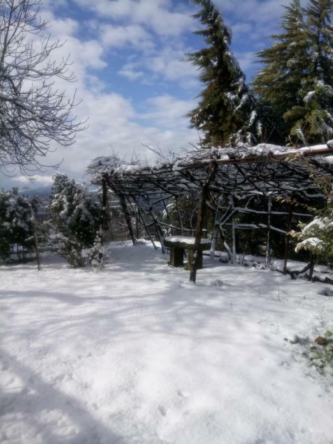 Casa Bartolacci Cozy Apartment Bivigliano Zewnętrze zdjęcie