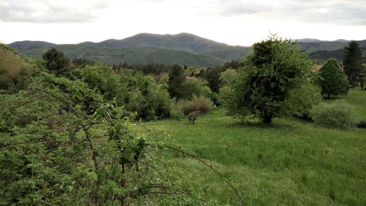 Casa Bartolacci Cozy Apartment Bivigliano Zewnętrze zdjęcie